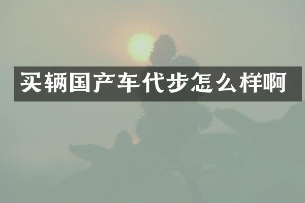 买辆国产车代步怎么样啊