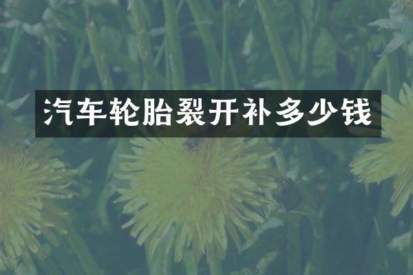 汽车轮胎裂开补多少钱
