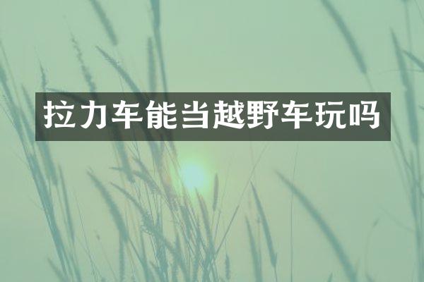 拉力车能当越野车玩吗