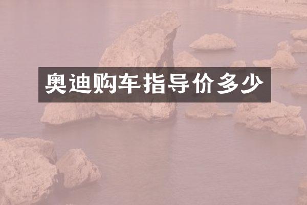奥迪购车指导价多少