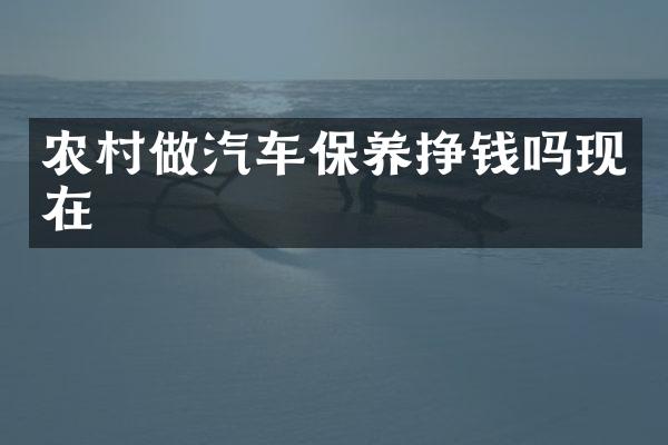 农村做汽车保养挣钱吗现在