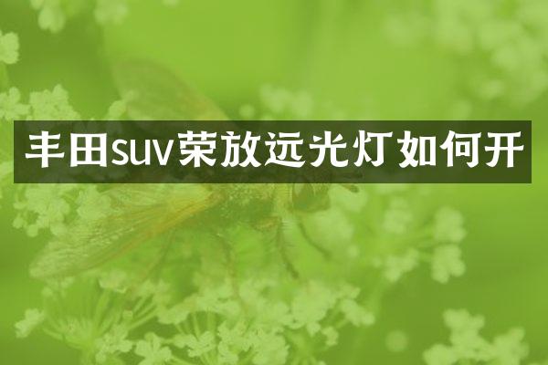 丰田suv荣放远光灯如何开