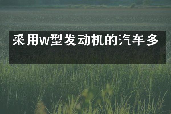 采用w型发动机的汽车多吗