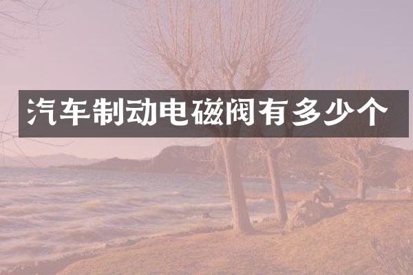 汽车制动电磁阀有多少个