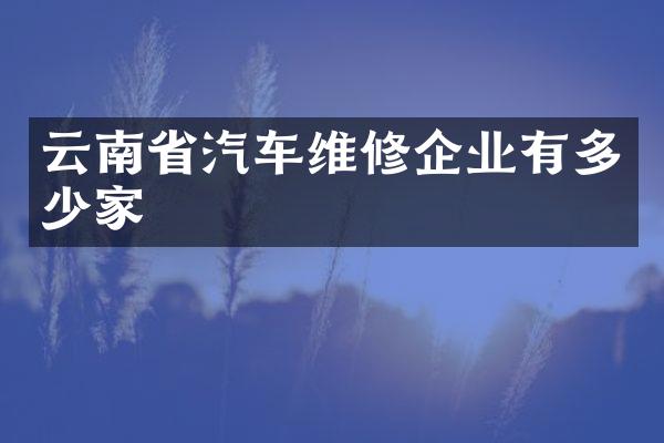 云南省汽车维修企业有多少家