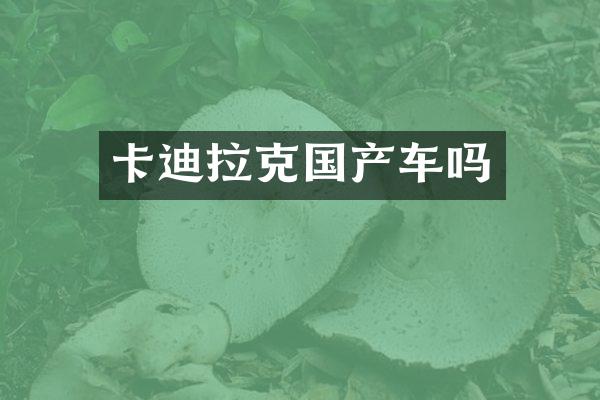 卡迪拉克国产车吗