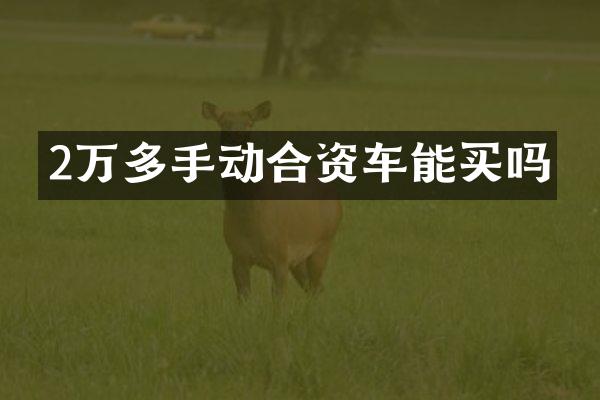 2万多手动合资车能买吗