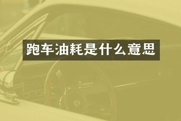 跑车油耗是什么意思
