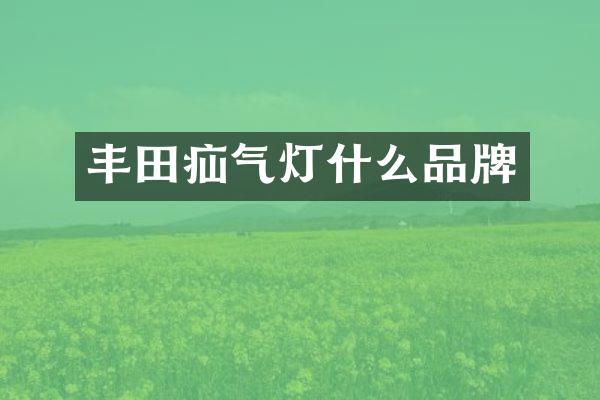 丰田疝气灯什么品牌