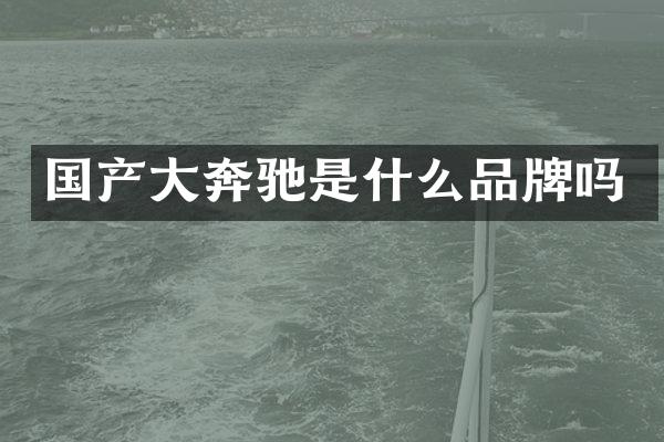 国产大奔驰是什么品牌吗