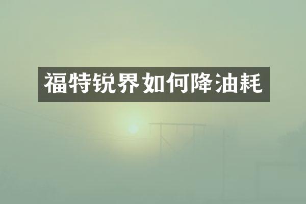 福特锐界如何降油耗