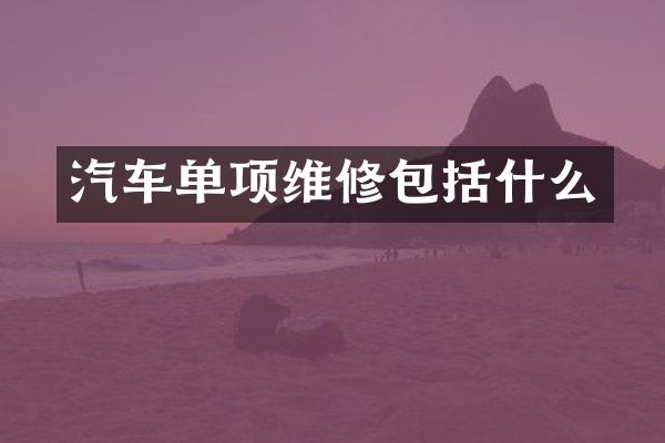 汽车单项维修包括什么