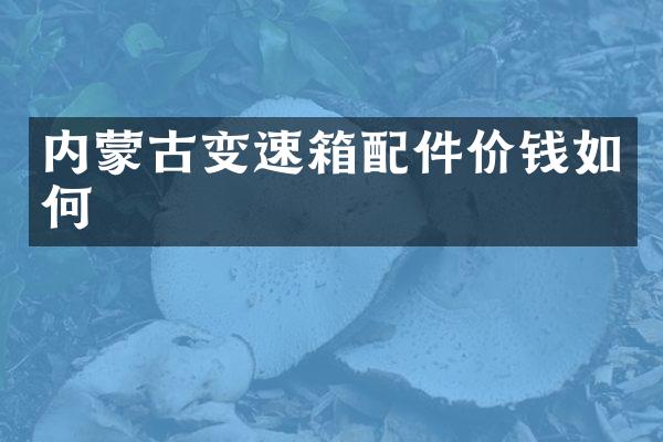 内蒙古变速箱配件价钱如何
