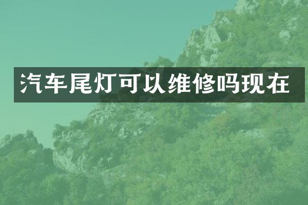 汽车尾灯可以维修吗现在