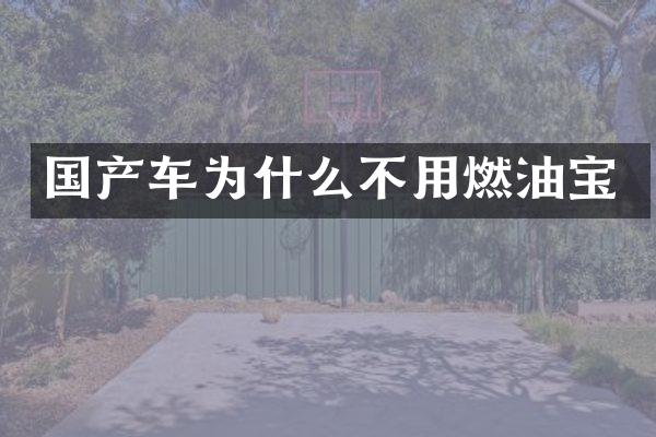 国产车为什么不用燃油宝