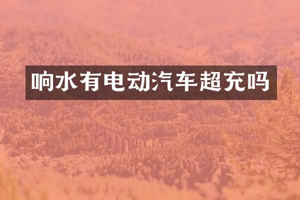 响水有电动汽车超充吗