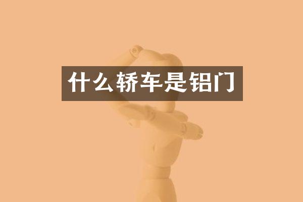 什么轿车是铝门