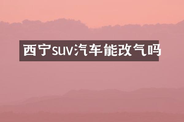 西宁suv汽车能改气吗