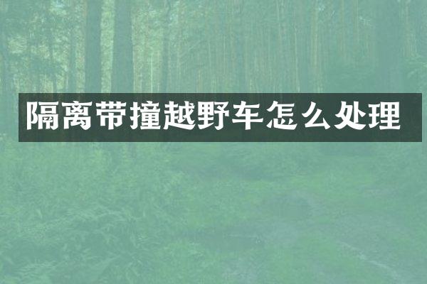 隔离带撞越野车怎么处理