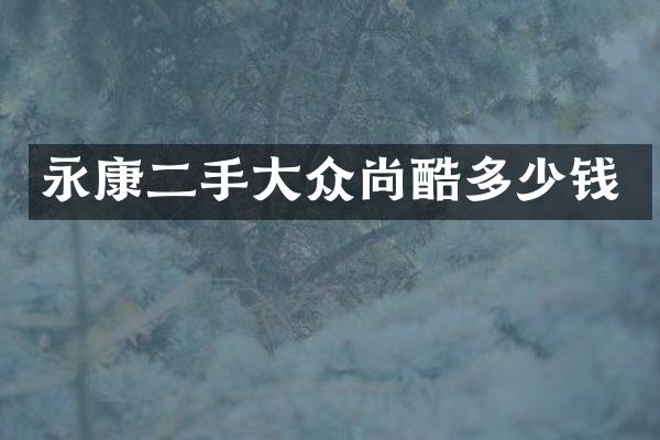 永康二手大众尚酷多少钱