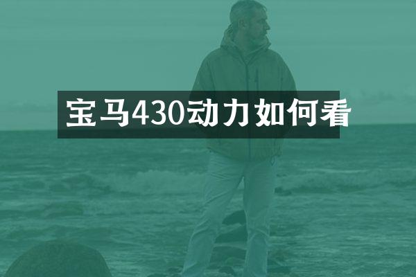 宝马430动力如何看
