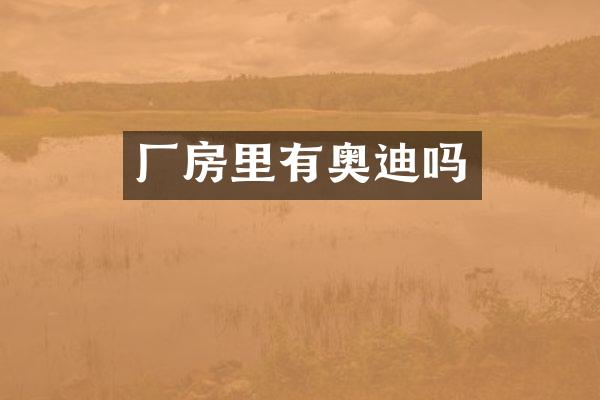 厂房里有奥迪吗