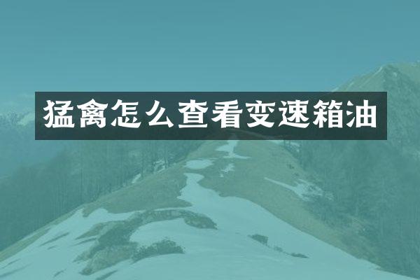 猛禽怎么查看变速箱油
