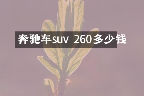 奔驰车suv 260多少钱