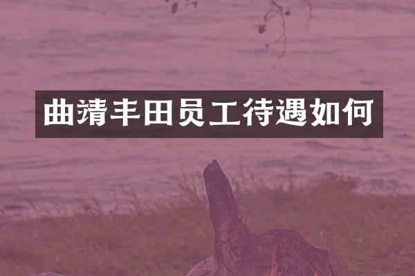 曲靖丰田员工待遇如何