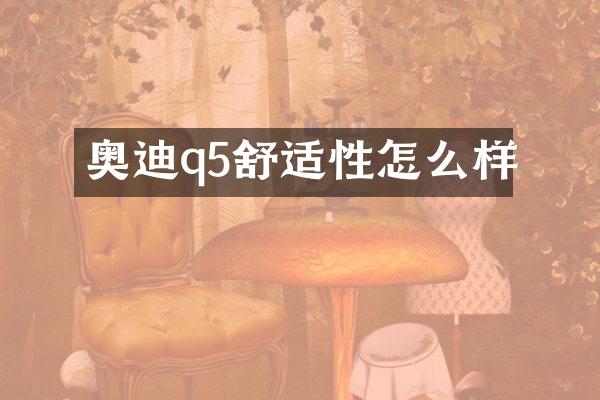 奥迪q5舒适性怎么样