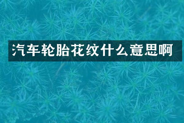 汽车轮胎花纹什么意思啊
