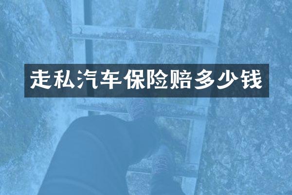 汽车保险赔多少钱