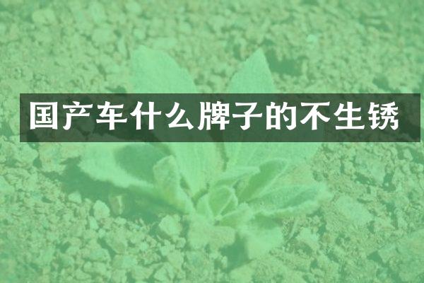 国产车什么牌子的不生锈