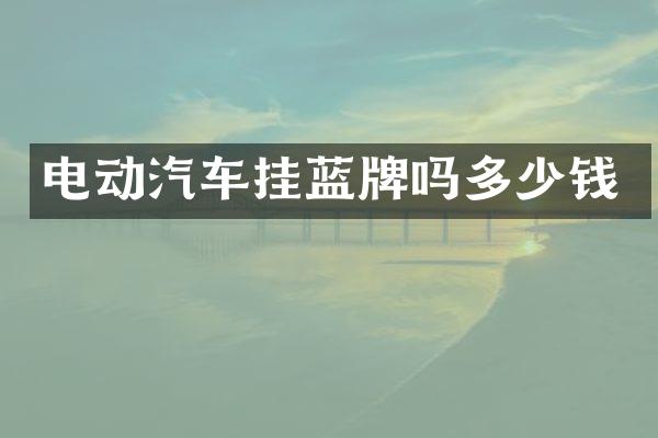 电动汽车挂蓝牌吗多少钱