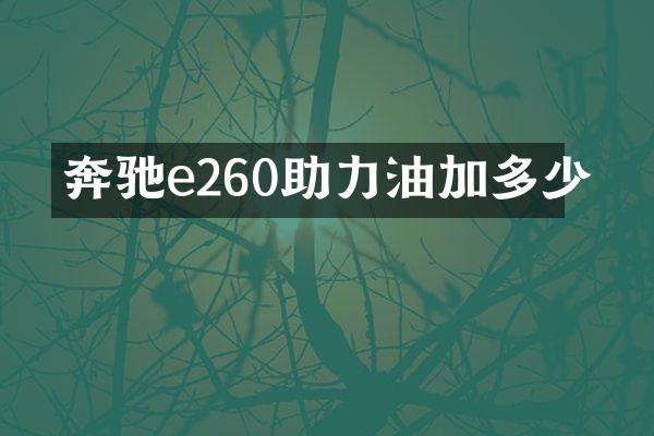 奔驰e260助力油加多少