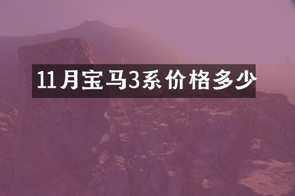 11月宝马3系价格多少