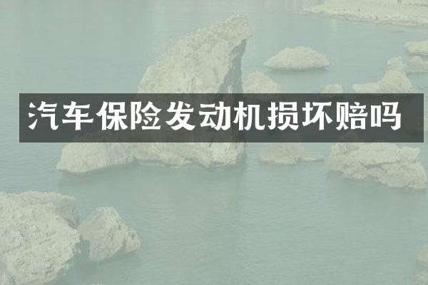 汽车保险发动机损坏赔吗