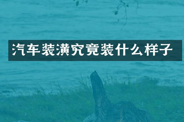 汽车装潢究竟装什么样子
