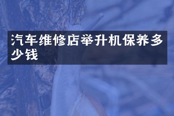 汽车维修店举升机保养多少钱