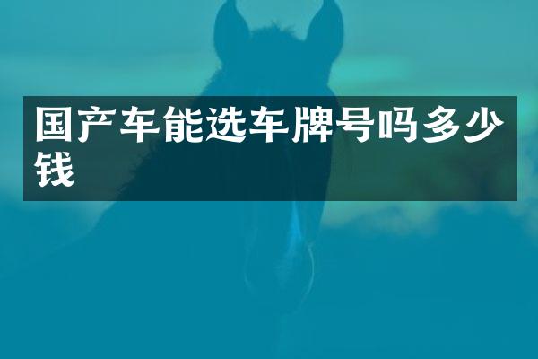 国产车能选车牌号吗多少钱