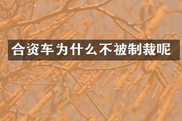 合资车为什么不被制裁呢