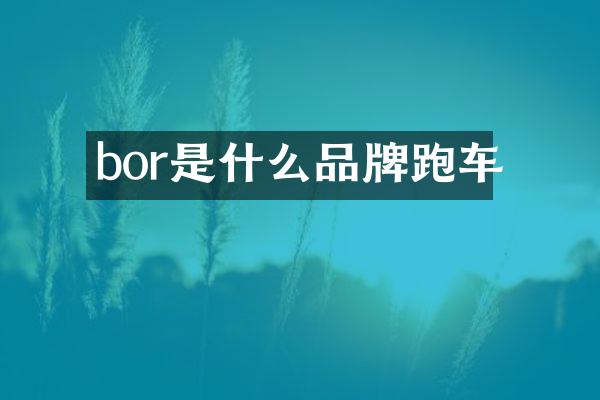 bor是什么品牌跑车