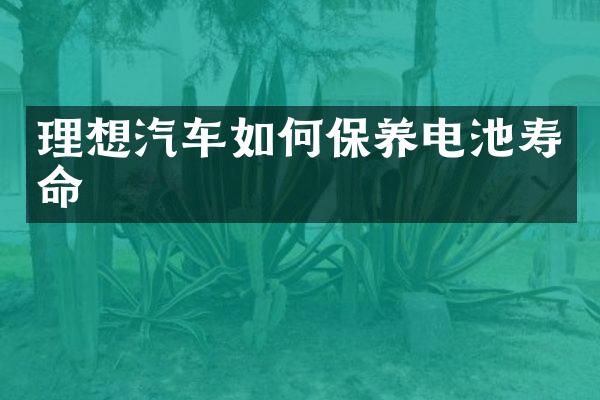 理想汽车如何保养电池寿命