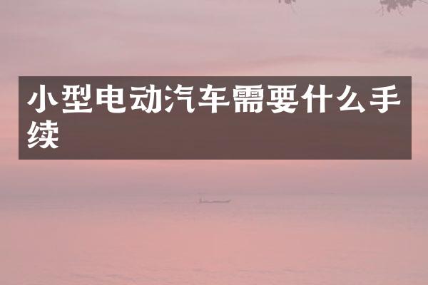 小型电动汽车需要什么手续