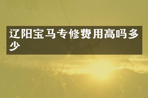辽阳宝马专修费用高吗多少