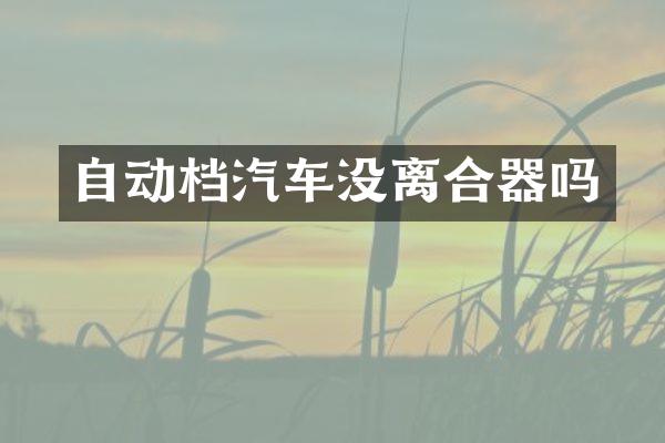 自动档汽车没离合器吗