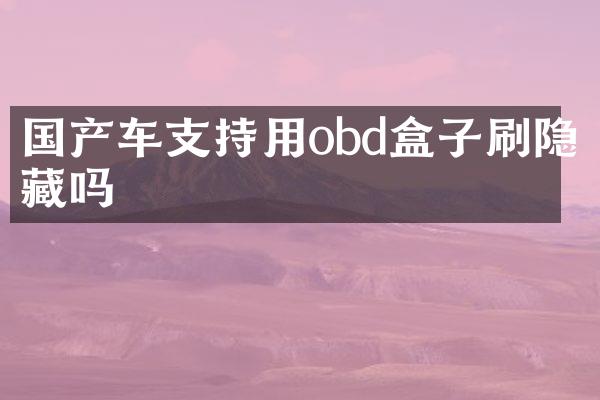 国产车支持用obd盒子刷隐藏吗