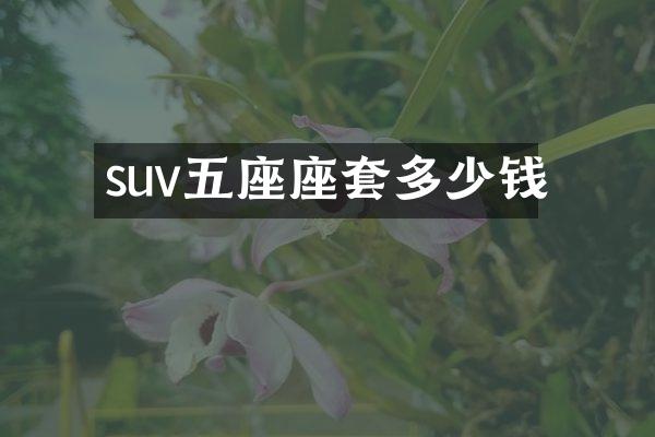 suv五座座套多少钱