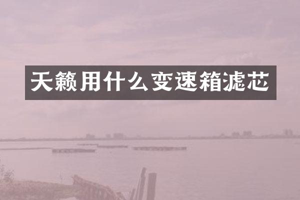 天籁用什么变速箱滤芯