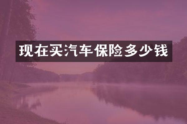 现在买汽车保险多少钱